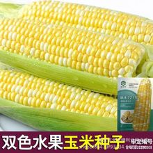 꿺721pɫˮ׷NӸ߮aϱ״ļN