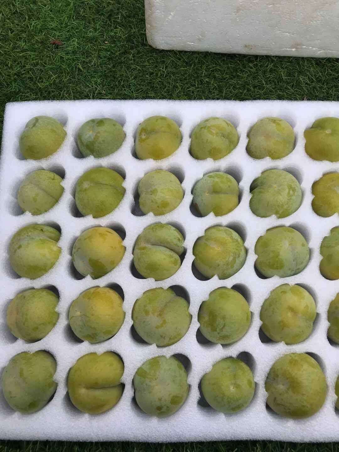 厂家供应白色珍珠棉李子水蜜桃包装泡沫/运输快递包装泡沫