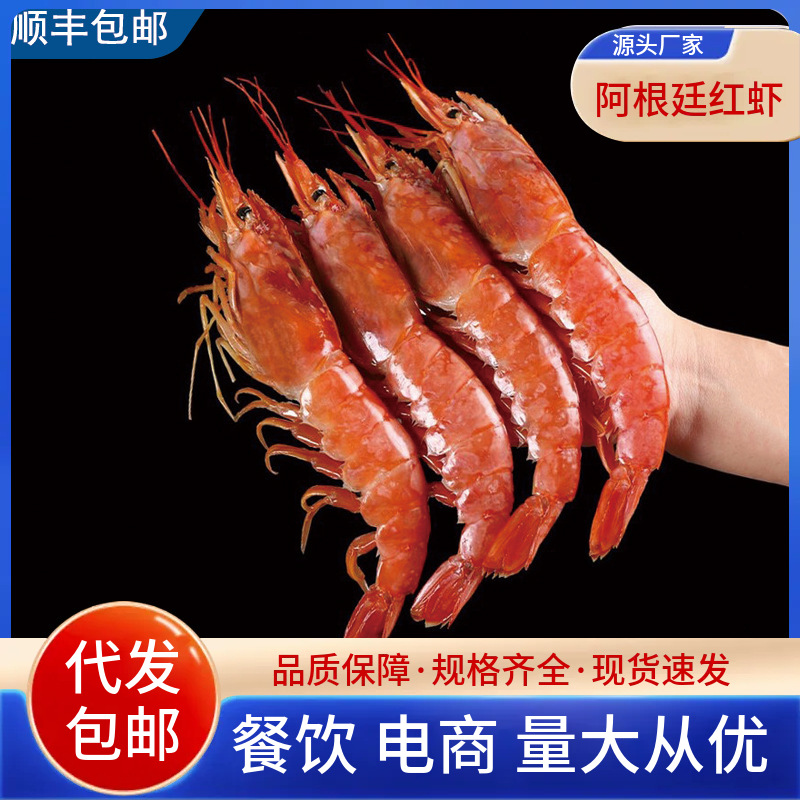 单冻阿根廷红虾l1新鲜速冻大红虾海虾刺身冷冻大虾海鲜水产批发