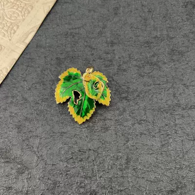 Yaxa sancaqları, Vintage Enamel Badge Accessories - style-10