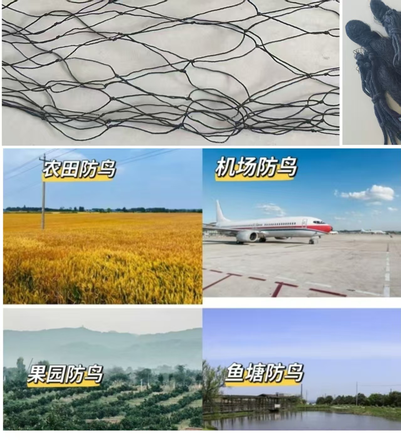 微信图片_20250621121728