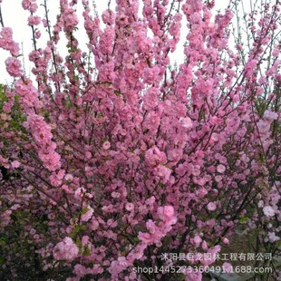 �ذ����~÷ �������~÷���� Ҏ���Rȫ ���̾G����ľ ���^�G��