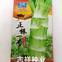 方政正棒一号花叶棒菜种子秋播笋子芥菜青笋棒菜种籽茎肉白细嫩