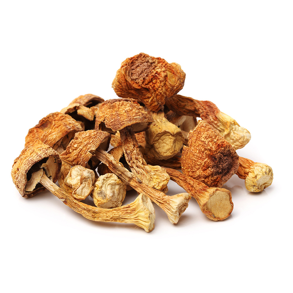 Agaricus blazei mushroom dry goods Yunnan origin wholesale price Brazilian mushroom group purchase support