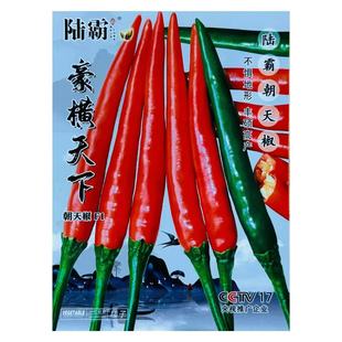 ꑰԺ��M���´�����콷�N������o�����L�����N���L��Ӳ���a����