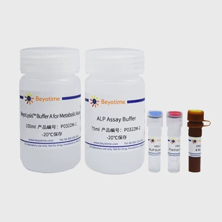 APL碱性磷酸酶检测试剂盒(荧光法)P0322S P0322M 碧云天生物