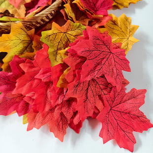 ������~9.5cm��Ƭ�����٘��~��c�b��ֹ������＾�Շ��Д[��