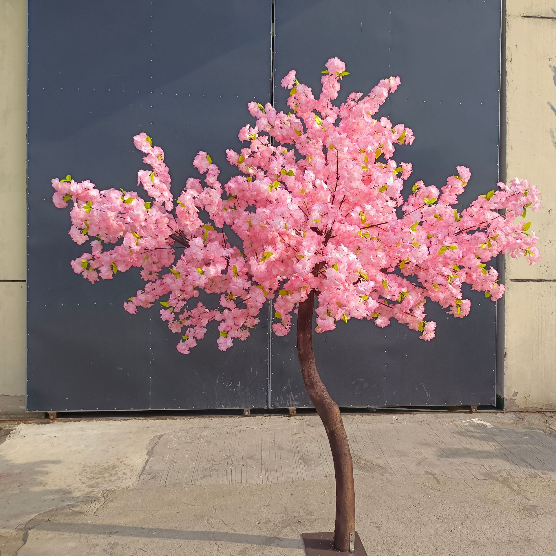 微信图片_20230622165158