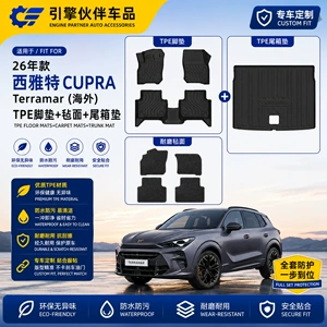 Suitable for the 25-Year-Old Seat Cupra Formentor Overseas Car, Wear-Resistant Carbon Fiber Pattern Trunk Mat