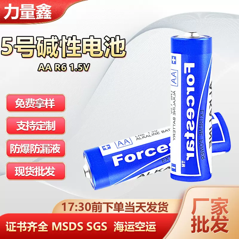 5号电池 源头工厂LR6 AA碱性电池智能锁电动玩具鼠标五号电池L300