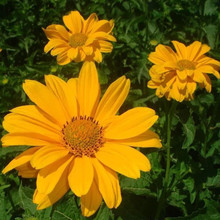 ���ľջ��ܷN���＾����ͥԺ���Ի��@�̨�ͺ��͟�Ұ���޸�������