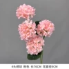 4 hydrangea
