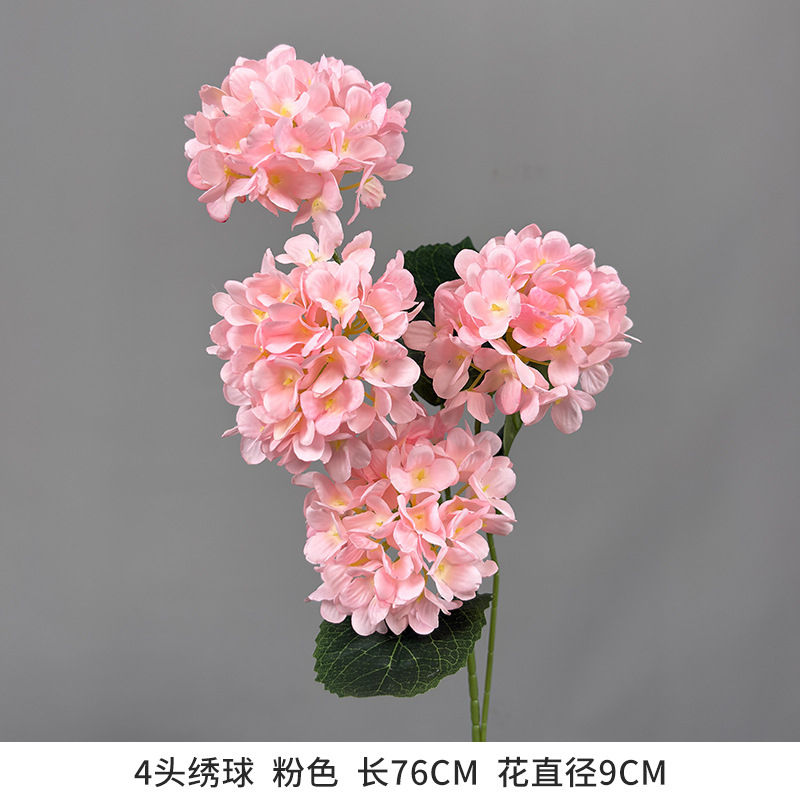 4-head hydrangea - new arrival recommendation