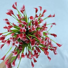 �羳���滨�����R��ɏ���ϼٻ��ٺϻ�����ֲ��Ҿӑ����b�2����