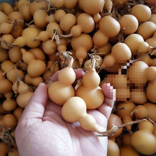 ���a��ֱ�l���ĳǺ��J������Ȼͨ؛����[���ְѼ�����С���J����