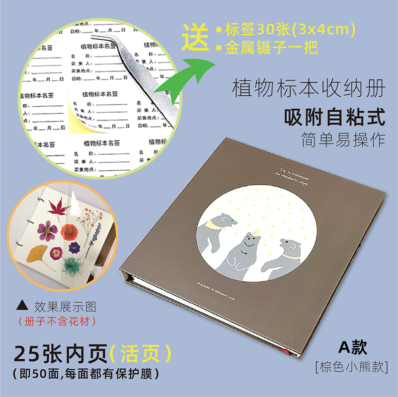 불곰(A형) 표본 없음