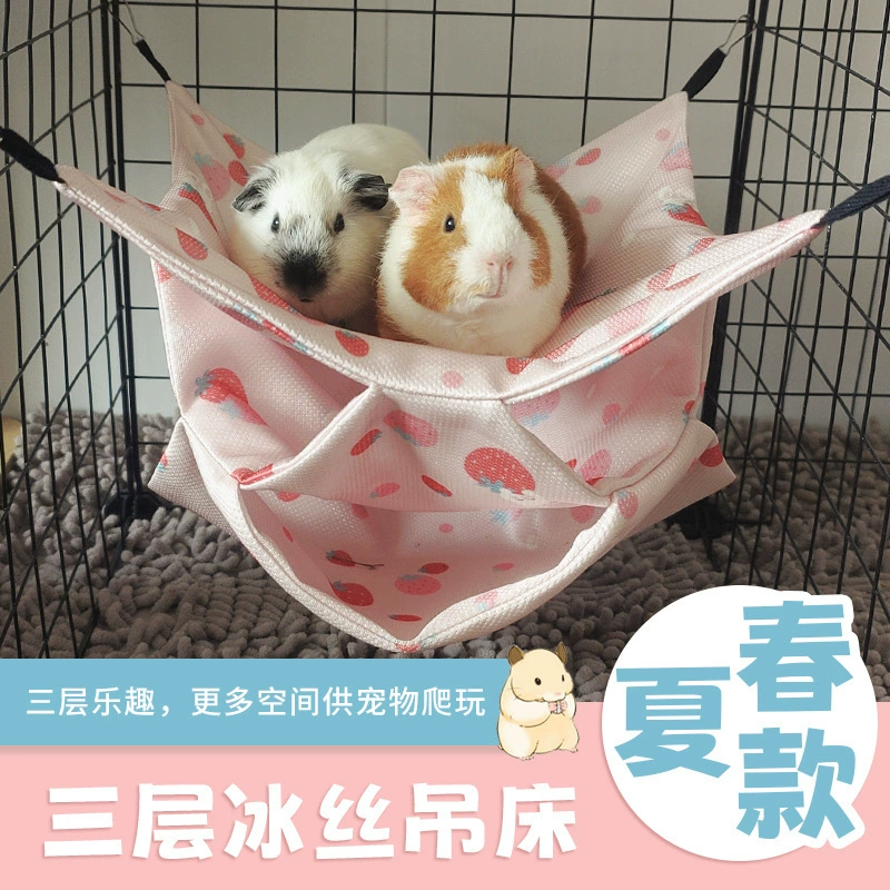 Трансграничные домашние животные хорьки летние морские свинки маленькие домашние животные