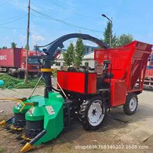 ţݸݙCؑcACնC½׽նոC