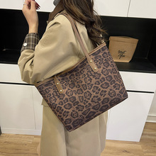 ¹ƤqyŮ2025¿ﶬ͹ذٴμҸ°