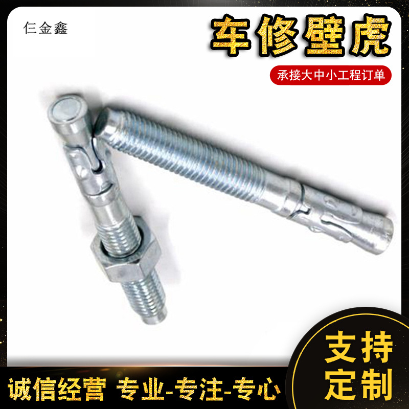 镀锌车修壁虎 膨胀螺栓拉爆攀岩钉加长车修壁虎拉爆电梯膨胀螺栓