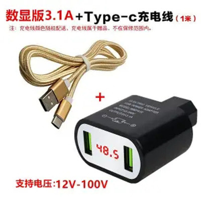 3.1A 폭발 블랙 12-100V + Letv 라인