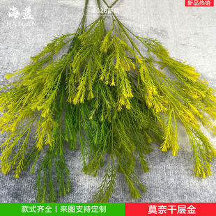 ���滨�Gֲǧ�ӽ��Y�����̈�������������zӰ����Ī�λ��@�L