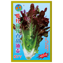 ߲˷NlN10¡͟ϼt_ѿN