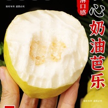 广东软糯奶油芭乐5斤新鲜水果当季软心番石榴鸡屎果白心芭乐包邮3