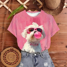 �羳����D��3Dӡ��Ůʿ�ļ����e�r�ж���A�IT��2026�¿�����