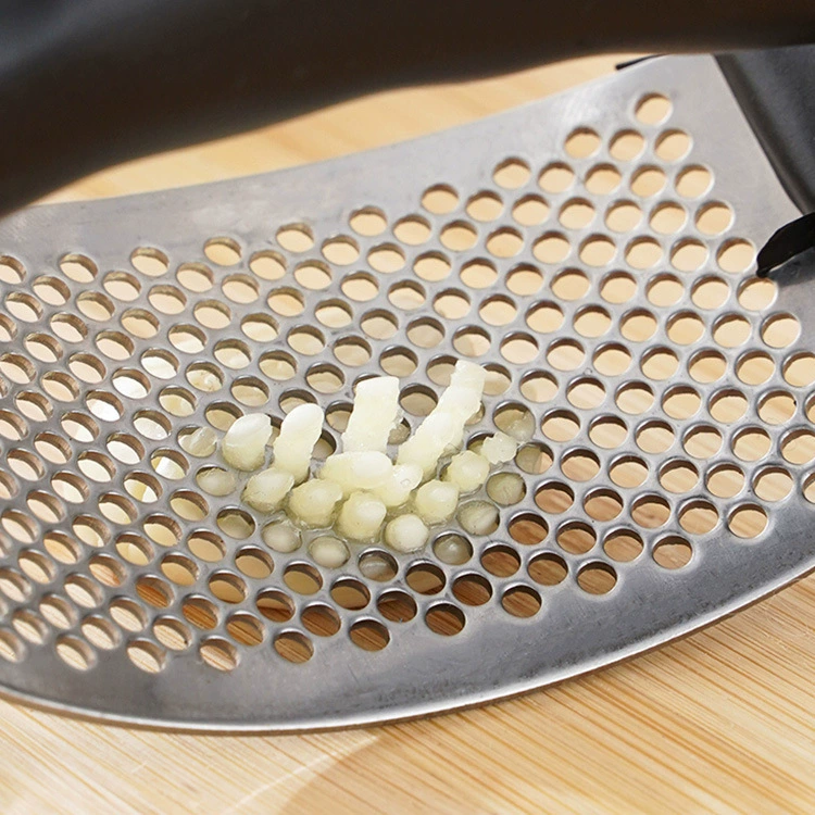 Handheld Garlic Press, Stainless Steel Mashing Plate, Ergonomic Ring Handle, Compact