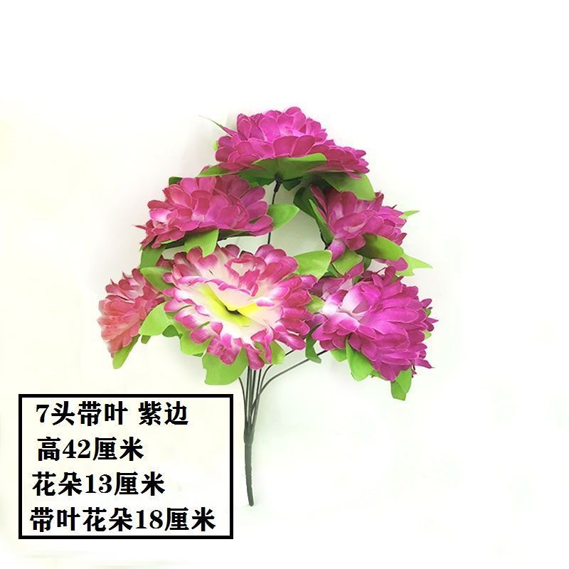 7-head chrysanthemum with leaves (purple edge) 1-1 branch (excluding flower pot), the best quality choice