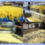 美式自动速冻大型油炸机