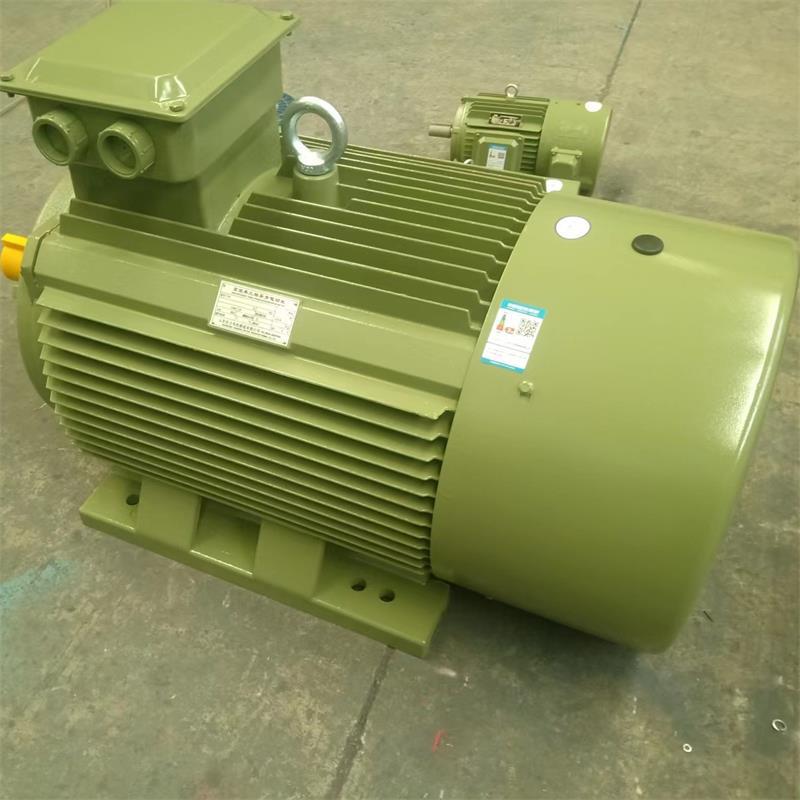 山东源头厂家供应 YE3-315L1-4/160KW 低噪音三相异步电动机 质保