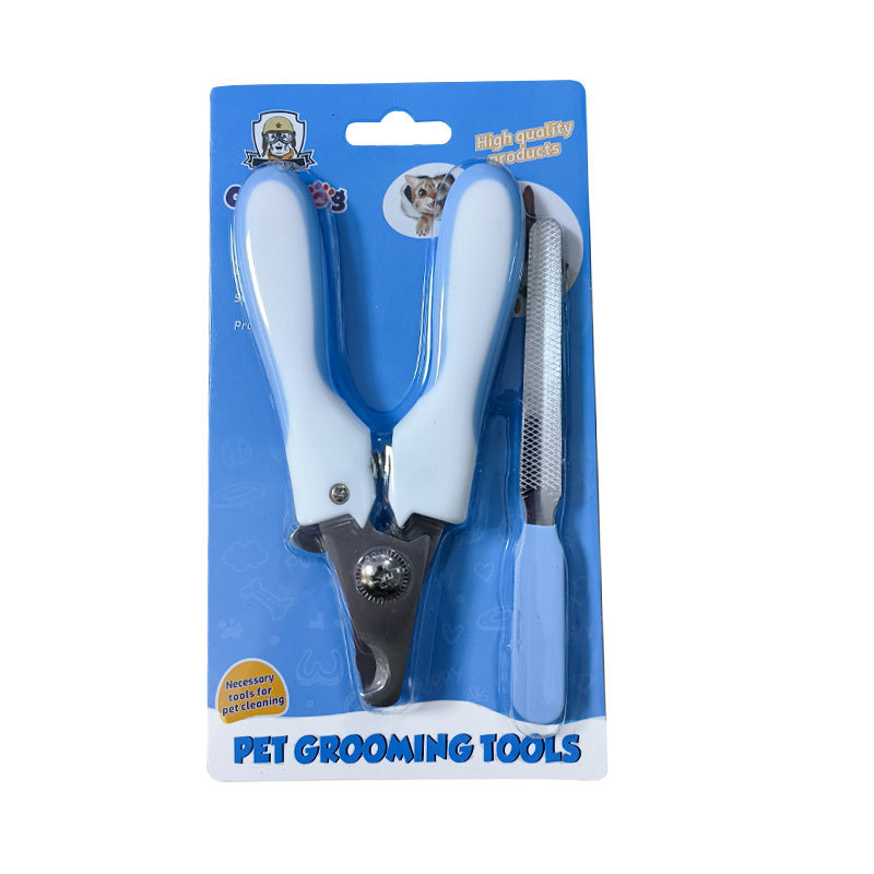 대형 파란색 카드밴드 파일