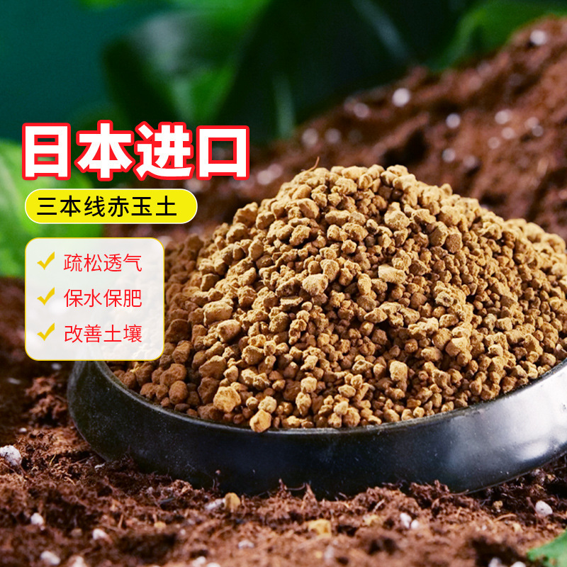 Spot Hard Three-Line Red Jade Soil Flower Succulent Planting Volcanic Granular Soil Orchid Potted Plant Paving