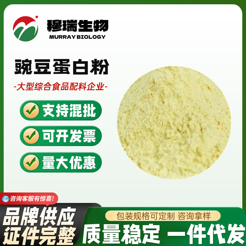 现货供应 豌豆蛋白 食品级 豌豆蛋白粉  植物蛋白80%含量量大优惠