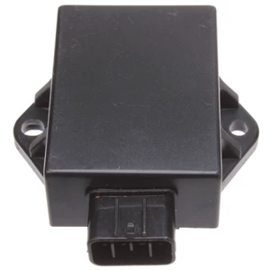 Directly Supplied from the Manufacturer, the Motorcycle Igniter Is Suitable for Kawasaki Kx85 21119-1572 Igniter