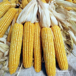 �����װ� ��Ȼ�L�����ϰ�����؛��������ĥ���ڼZ��ӵ����b�