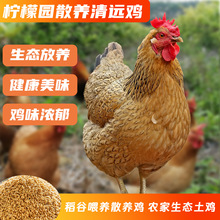 �Ե��ȵę��ʈ@ɢ�B���h�ߵ��u ���r�F�� �������rȫ���ɰl؛