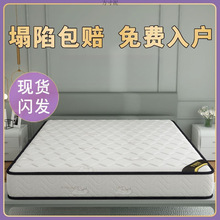 ϯ��˼���|�o��������������20cm�����zҬ��ƫӲ������ⷿ�����S