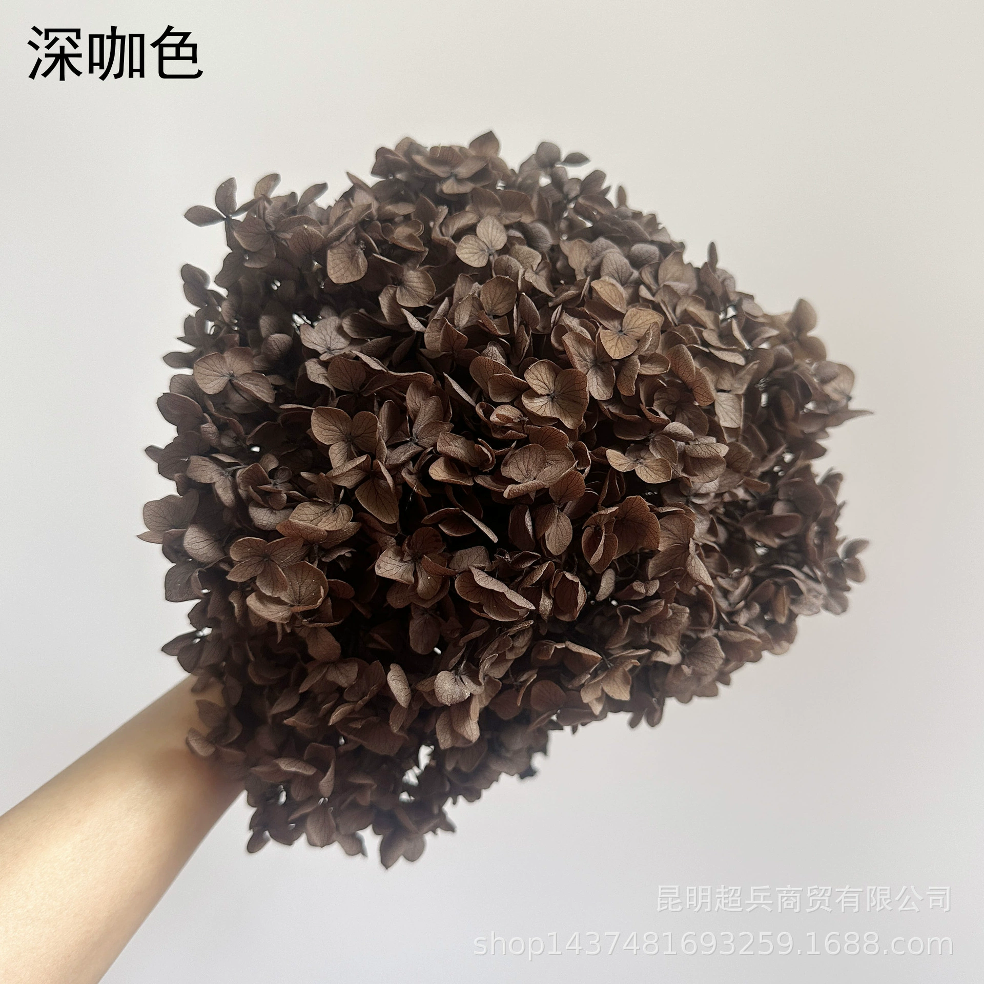 [Вечная Life Flower Hydrangea] Анна Градиентный цвет Лист Hydramid Книга цветов оптом DIY цветочная коробка материал для просмотра