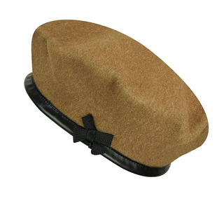 *2021����Ƥ��߅��ʿ��ë܊��ؐ��ñ������N�YƷ������Ӗñ��