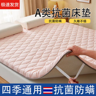 Mattress Household Soft Cushion Thickened Tatami Mattress Bedding Bedroom Dormitory Student Single Rental Special Mat