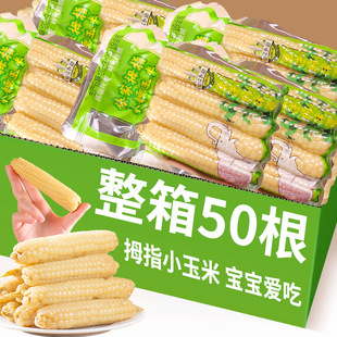 ������p��{Ĵָ���׼�ʳ��ʹ������r��������Ŵ������ָС����