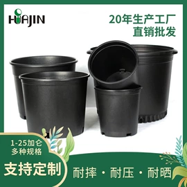 花盆容器;栽培基质;花盆装饰