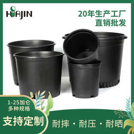 加厚加仑盆塑料控根盆栽月季黑色种植育苗塑料二代花盆果树种植盆