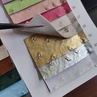 ë�������͹�c�yPVCƤ������ִ������Ʒ���b���r�B�y�����pɫ