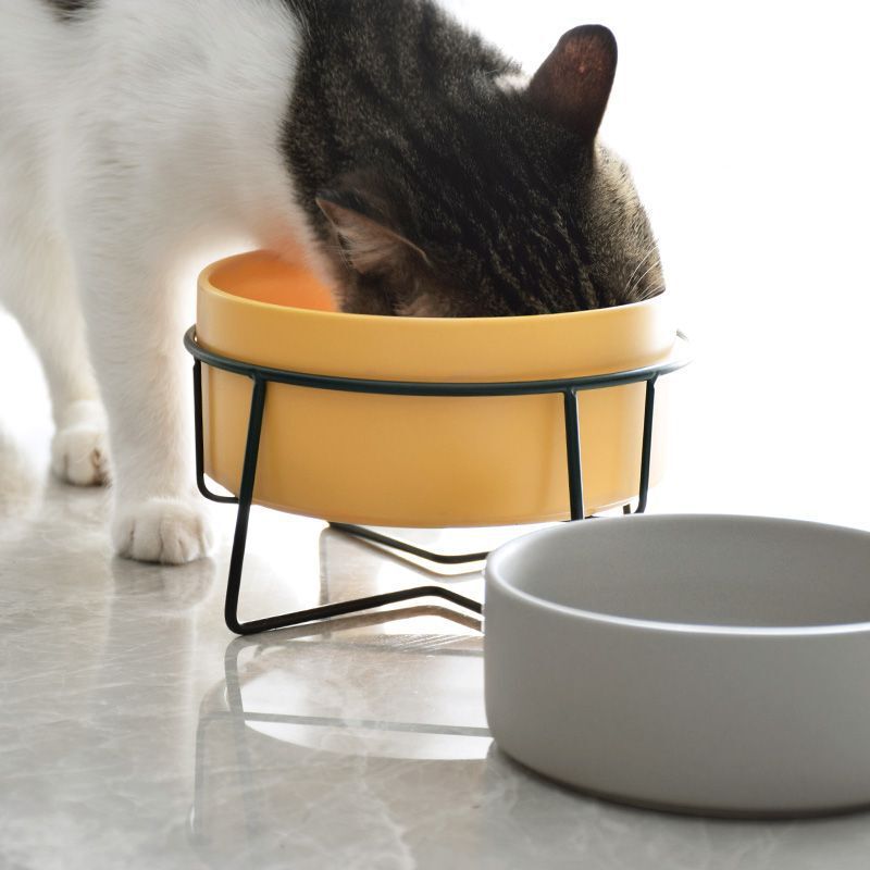 猫碗猫咪陶瓷碗狗狗水碗双碗碗架保护颈椎宠物猫粮碗猫食盆防打翻|undefined