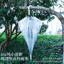 热卖晴雨伞创意透明伞PVC材质简约直杆网红伞自动雨伞环保伞批发