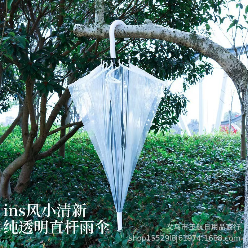 热卖晴雨伞创意透明伞PVC材质简约直杆网红伞自动雨伞环保伞批发